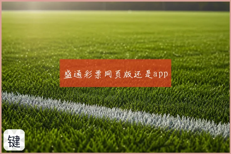 盛通彩票网页版还是app