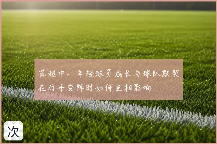 苏超中，年轻球员成长与球队默契在对手变阵时如何互相影响
